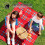 Camping Foam Pad Foldable Waterproof EVA Sit Mat 12 Pcs 3
