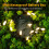 ZOELNIC kerstverlichting 4,9 meter 50 LED's warm wit 2 3