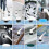 Electric Spin Scrubber with 8 Replacement Heads 6
