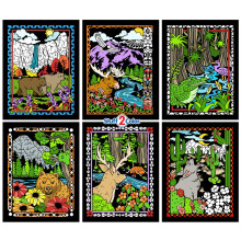 National Parks Fuzzy Färgläggningsposter 6 Pack (Perfekt för Barn, Vuxna, Gruppaktiviteter) - Levereras Ocolorerad - Yosemite, Denali, Everglades