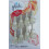 Glade Glade PlugIns Huile Parfumée ~ Nectar de Chèvrefeuille Rouge 8 Recharges 1