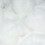 1 inch Witte Kleine Knutsel Pompons 100 Stuks 1