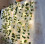 Luci decorative a stringa con motivo a vite, a batteria, 50 LED 6