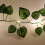 Luci decorative a stringa con motivo a vite, a batteria, 50 LED 7