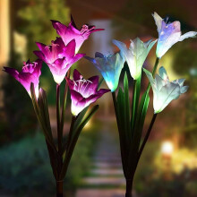 Solar Outdoor Path Lights - Waterproof Lily Design, 2 Pack