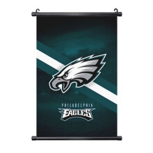 Eagles Football Team PVC Wall Painting Black Axis