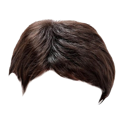 Peluca corta de encaje frontal, cabello liso, 25 cm