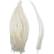 50 stuks Witte Lange Haan Staartveren 12-14 Inch voor Hoed Kostuum Decoratie