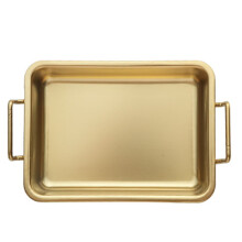Stainless Steel Serving Tray for Fish and Snacks Gold