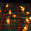 Christmas String Lights Snowman Design 10ft 30LED 4