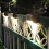 ZOELNIC solar deck lights outdoor LED warm white 8 pcs 4