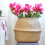 Wicker Storage Basket Foldable Bamboo Seagrass 1 Pc 3