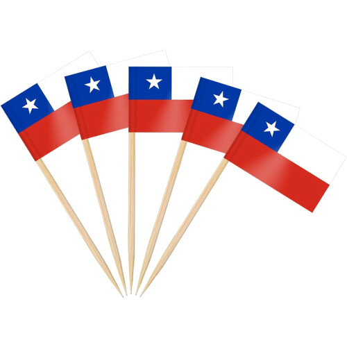 Argentina Flag Toothpicks Cupcake Toppers 200 pcs