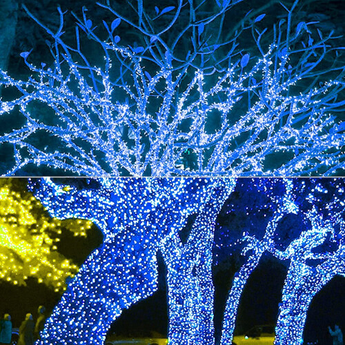 MAMOWEAR fairy lights 33 ft 100 LED 8 modes waterproof 1