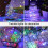 ZOELNIC LED copper wire string lights 2 pcs 50 lights 5