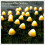 ZOELNIC solar mushroom string lights 22 ft 30 LED 7