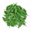 Model Trees for Miniature Landscapes HO OO Scale 50PCS 7