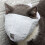 Cat Muzzle Adjustable Breathable Anti-Bite for Grooming 7
