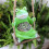 Frog Hanging Swing Planter Green 1 Pack 4