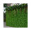WSYW artificial grass wall screen 24x16 inch 10 pcs 5