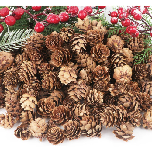 Natural Pine Cones for Crafts and Home Decor 30 Pcs 2