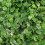WSYW artificial grass wall screen 24x16 inch 10 pcs 6