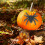 Halloween spider decor bendable legs 1 piece 1