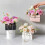 Yesbay flower tote bag portable foldable 4 pcs 1