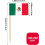 Argentina Flag Toothpicks 200 pcs 2