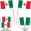 Argentina Flag Toothpicks 200 pcs 3
