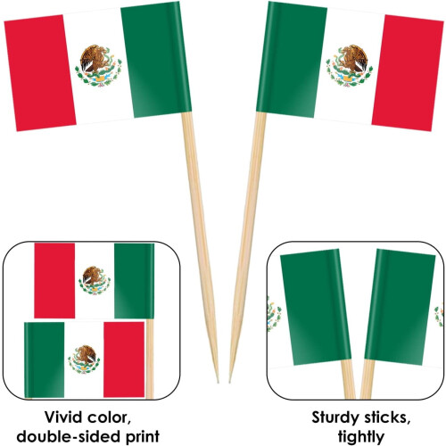 Argentina Flag Toothpicks 200 pcs 2