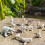 Arctic Animal Figurines Set Realistic Plastic 10pcs 4