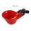Chicken Water Drinking Bowl Automatic Cup 5PCS 3