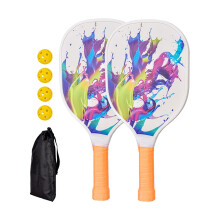 Pickleball Paddles Set of 2 with 4 Balls and Ball Picker