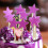 Xeyise glitter star cupcake topper 10 pcs 7