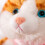 White Cat Stuffed Animal Soft Realistic Kitten 15 Inch 8
