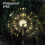 Solar Garden Lights Warm White 120 LED 2 Pack 6