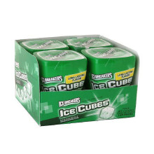 Spearmint Sugar-Free Gum Bottle Pack 4 Count