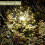 Solar Garden String Lights Warm White 120 LED 2 Pack 4