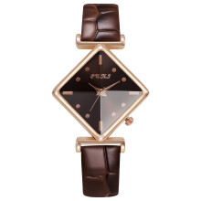 Luminous Pointer Women's Quartz Watch Leather Band