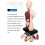 Human Torso Anatomy Model 11 inch with 8 removable organs 4