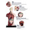Human Torso Anatomy Model 11 inch with 8 removable organs 5
