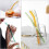 Reusable Bent Glass Straws 8mm 8-Pack Multicolor with 2 7