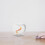 Glass terrarium hydro planter vase 1 unit 4