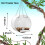 Window Bird Feeder with Suction Cup Round Clear 2