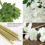 Artificial Wisteria Vine Garland White 12 pcs 8