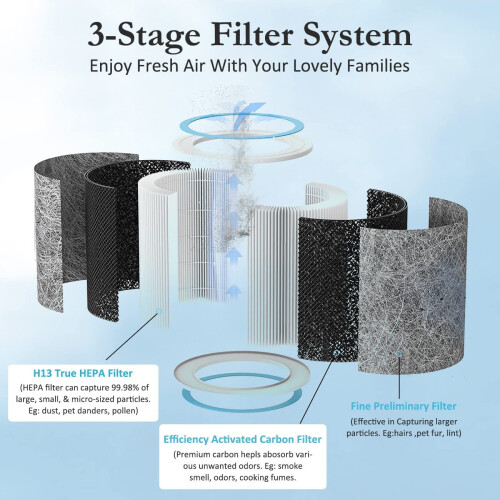 HC452 Replacement Filter 3-in-1 H13 True HEPA 2 Pack 2