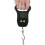 WSBDENLK digital scale 50 kg  10 g 1