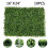 WSYW artificial grass wall screen 24x16 inch 10 pcs 1