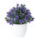 Artificial Bonsai Plant in Pot UV Resistant Greenery 1